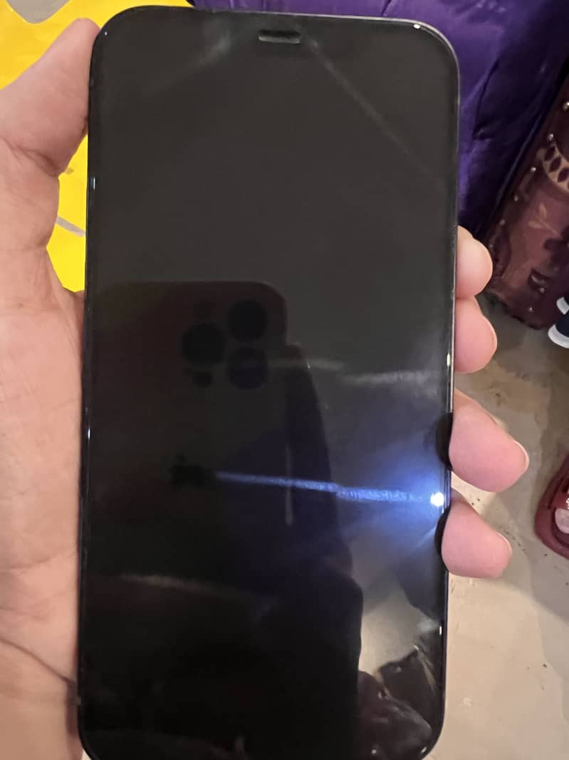 Apple iPhone 12 1