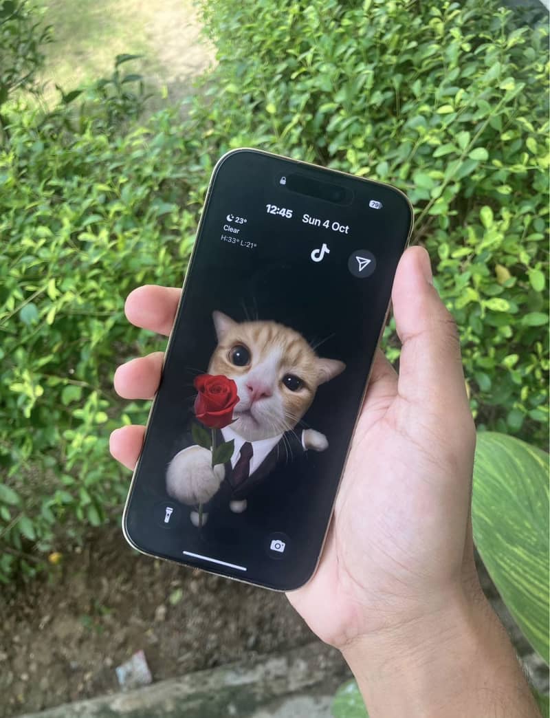 Apple iPhone 14 Pro Max 6