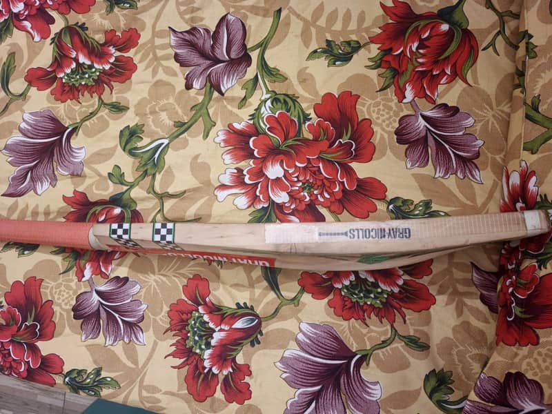 Hard Ball Bat 4