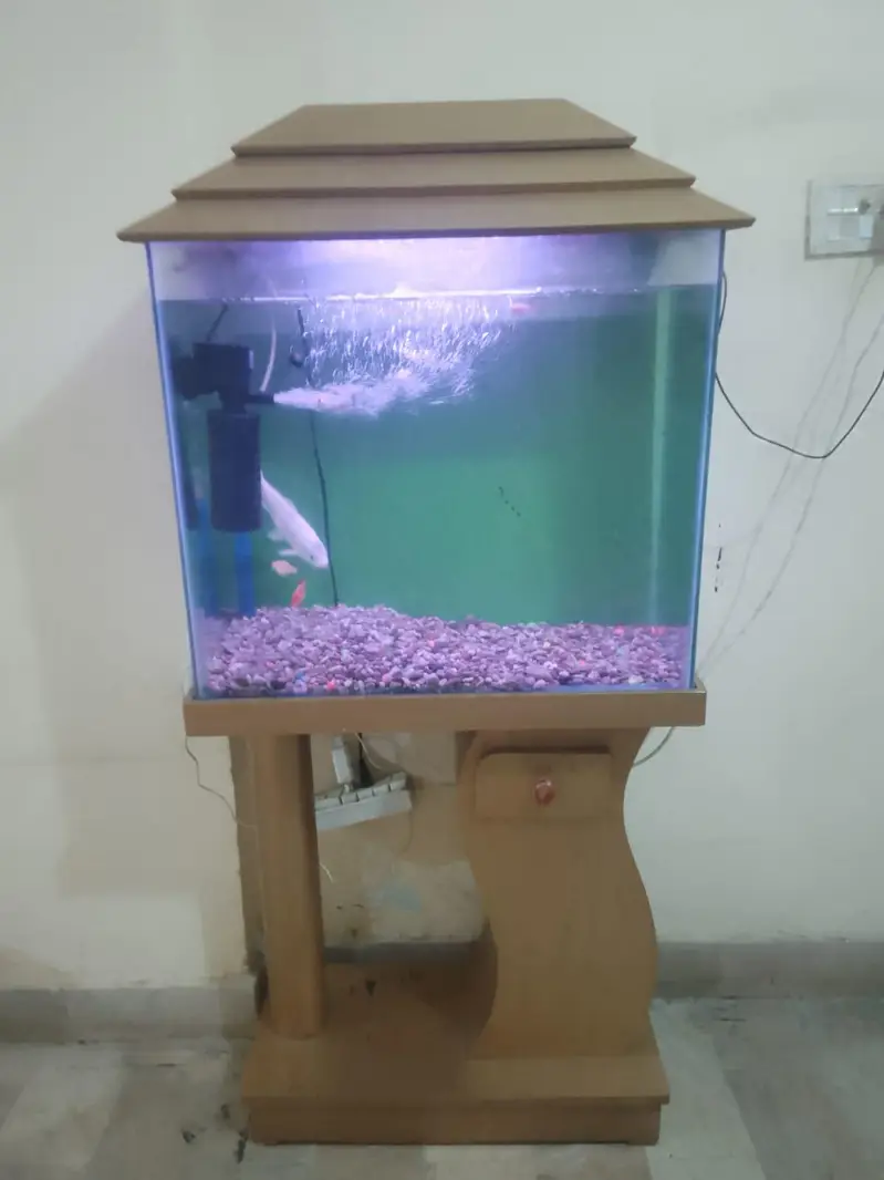 fish aquarium tank — photo 3