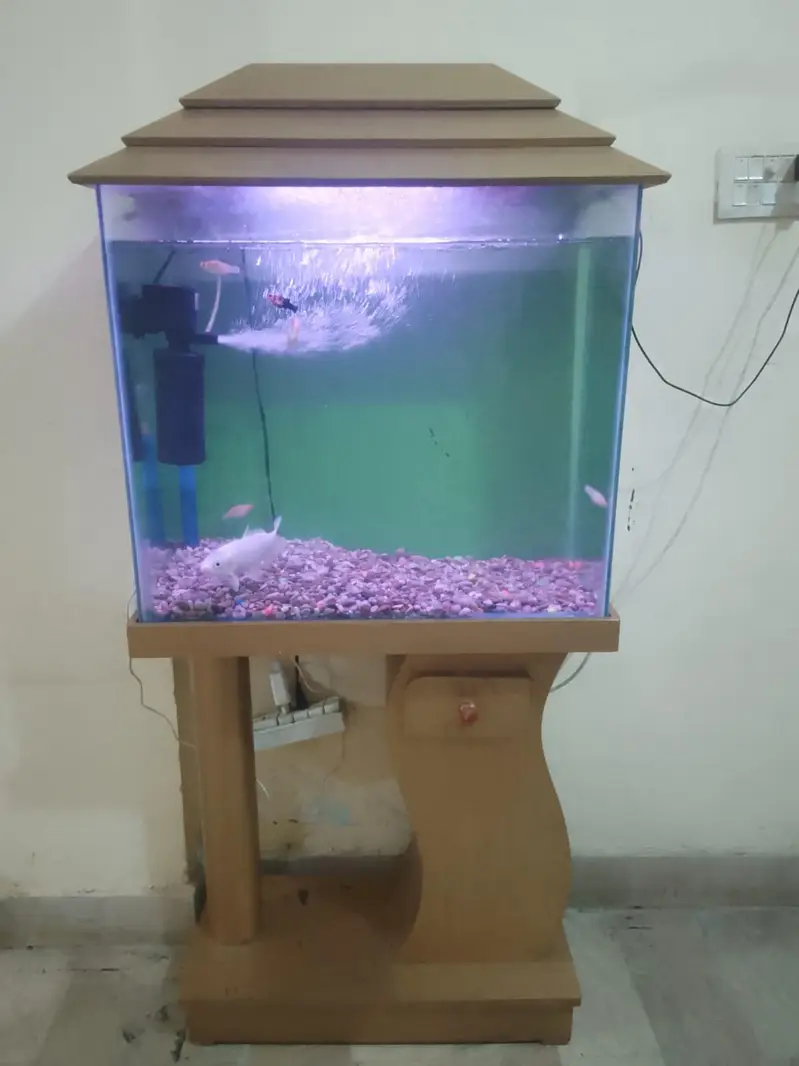 fish aquarium tank — photo 4