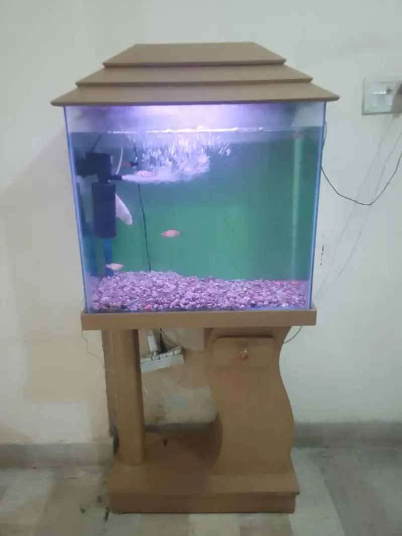 fish aquarium tank — photo 5