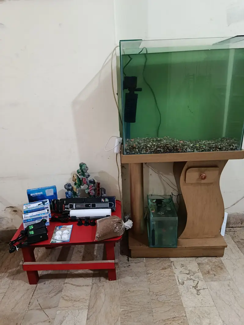 fish aquarium tank — photo 9