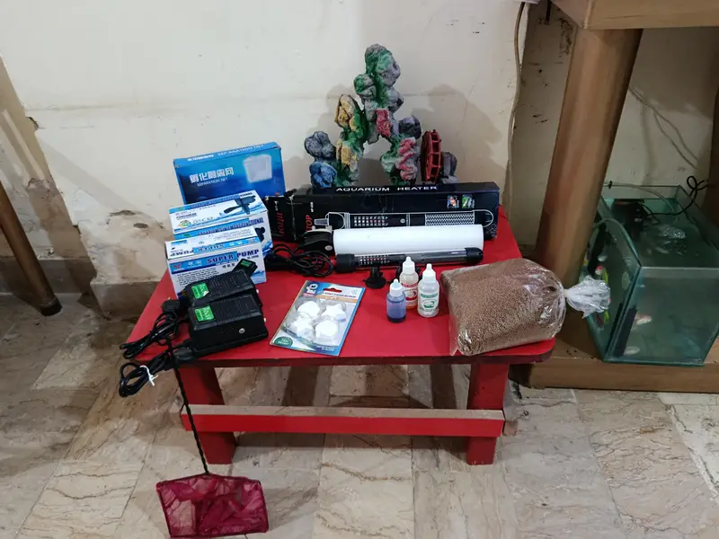 fish aquarium tank — photo 11