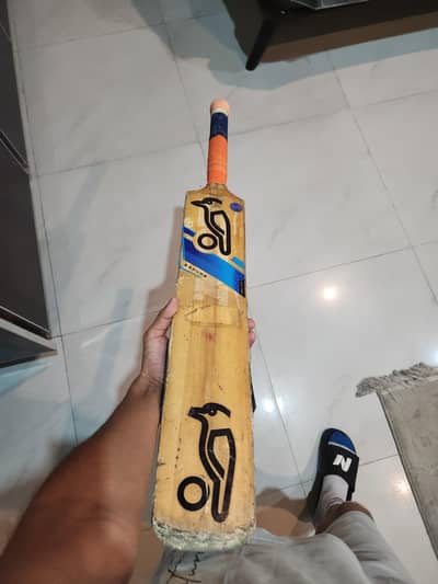 hard ball cricket bat