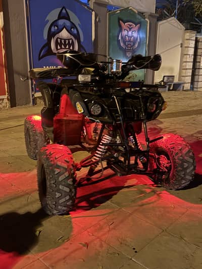 Four wheeler bike