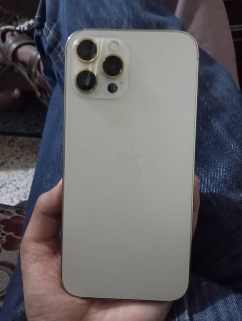 Apple iPhone 12 Pro Max 0