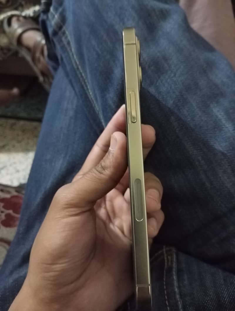 Apple iPhone 12 Pro Max 1