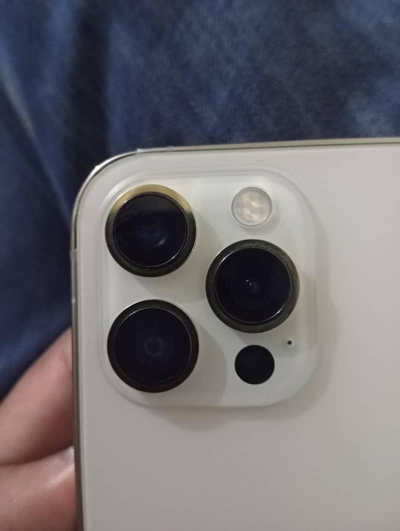 Apple iPhone 12 Pro Max 2