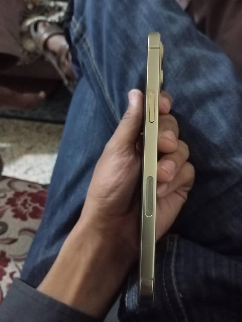 Apple iPhone 12 Pro Max 5