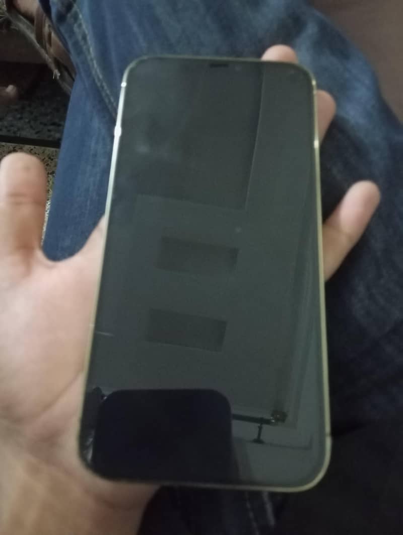 Apple iPhone 12 Pro Max 6