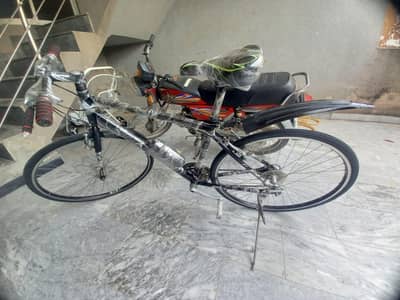 Japanese cycle