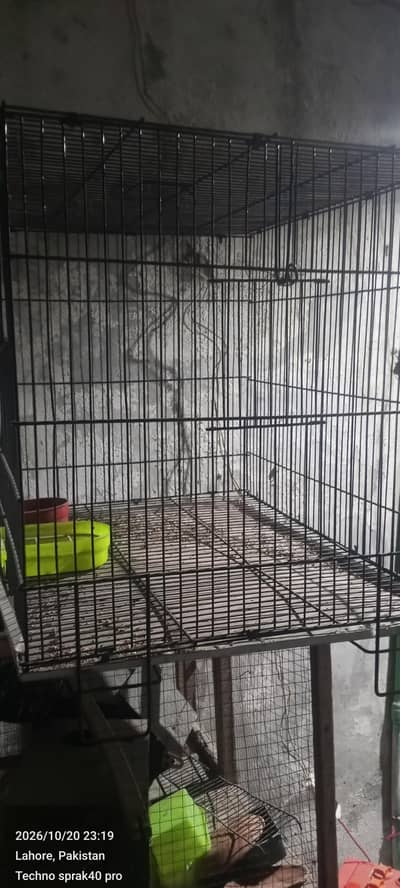 new cage