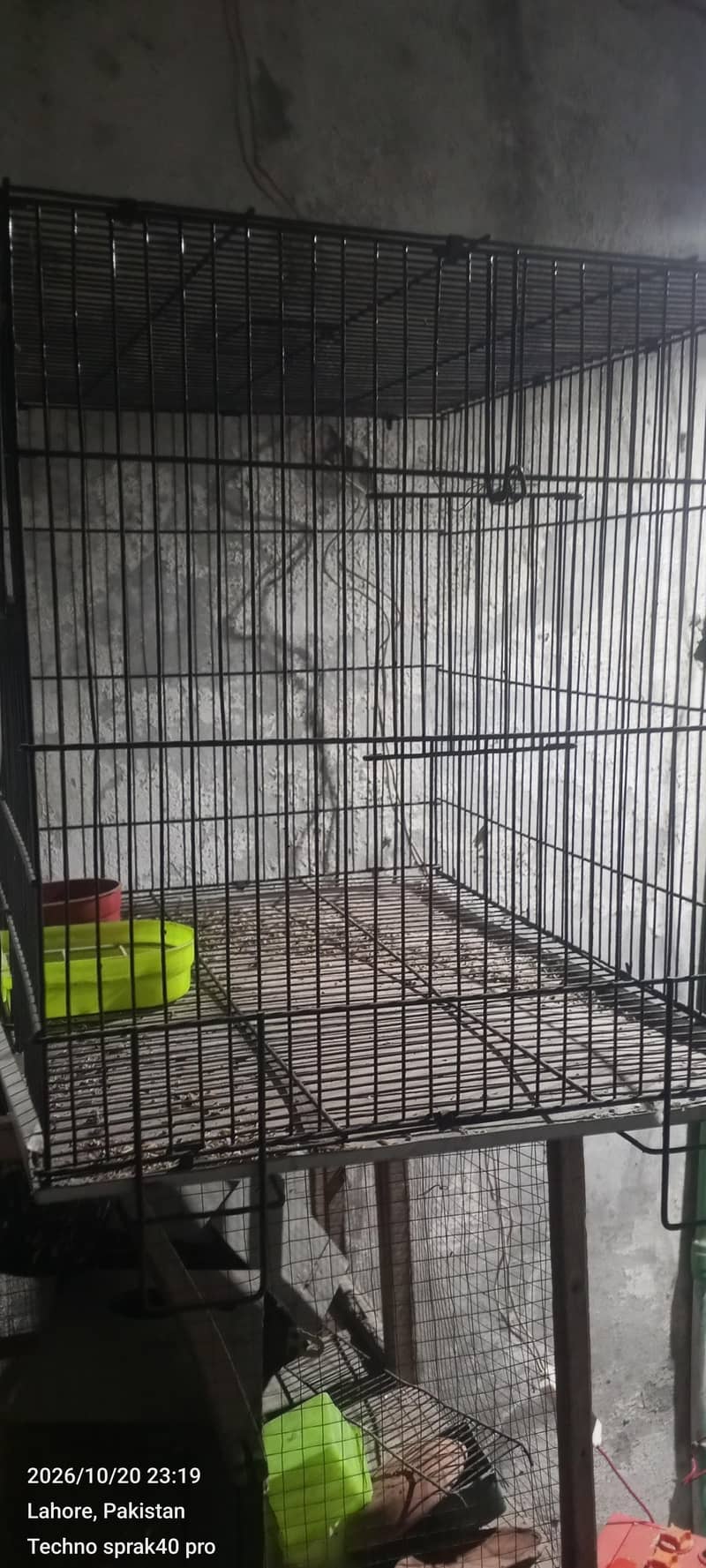 new cage 0