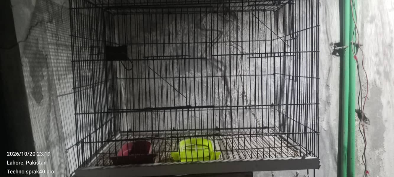 new cage 2