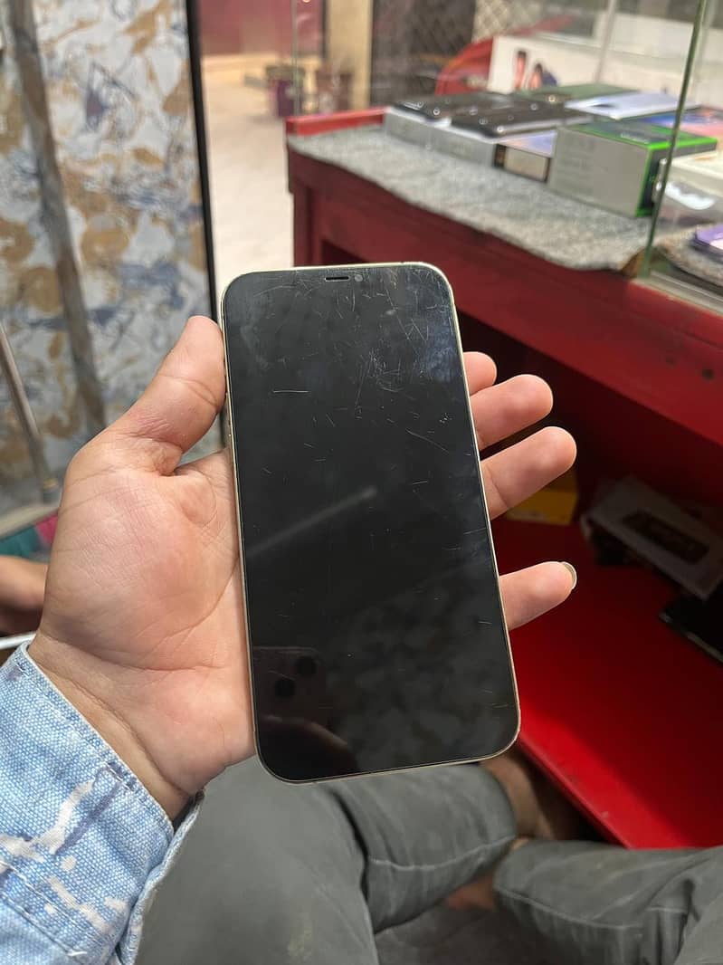 Apple iPhone 12 Pro Max 0
