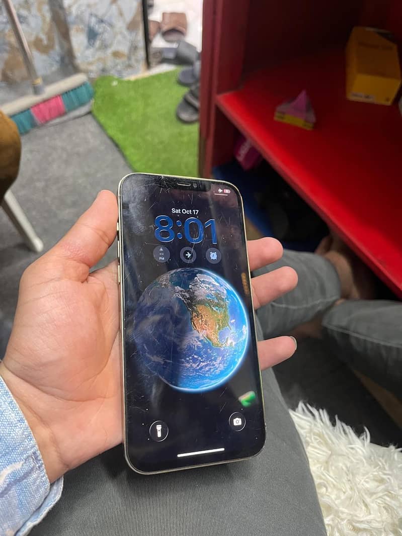 Apple iPhone 12 Pro Max 1