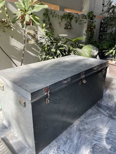Trunk Paiti with Stand 6ft