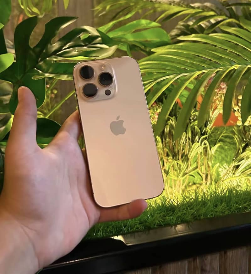 Apple iPhone 16 Pro 0