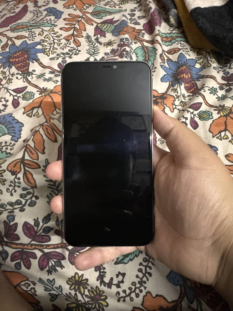 Apple iPhone 11 Pro Max 1