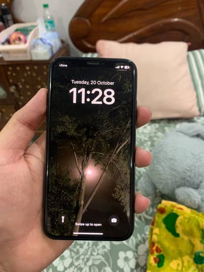 Apple iPhone X