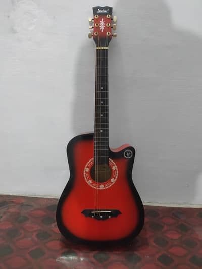 Acoustic Guitar with bag