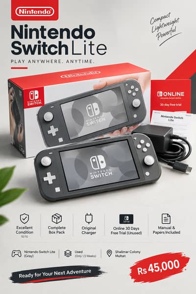 Nintendo Switch Lite Gray 10/10 Box Pack + Charger | Multan