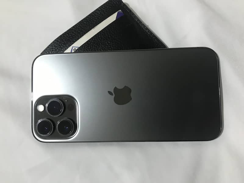 Apple iPhone 13 Pro Max 1