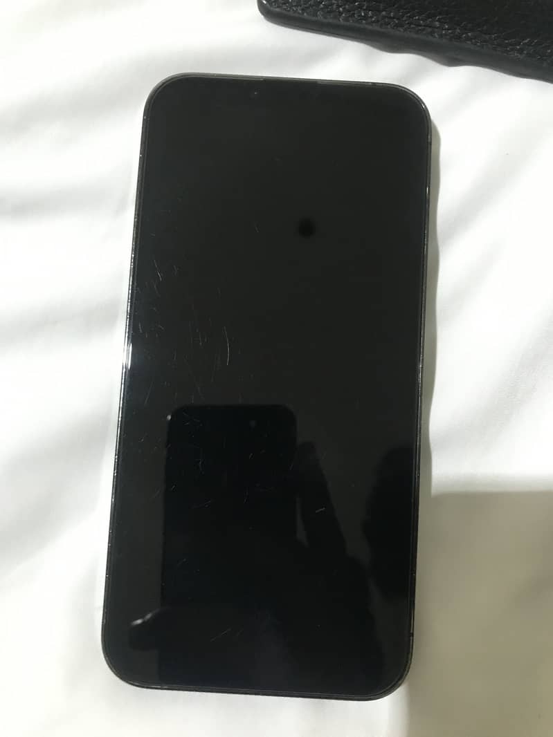 Apple iPhone 13 Pro Max 2