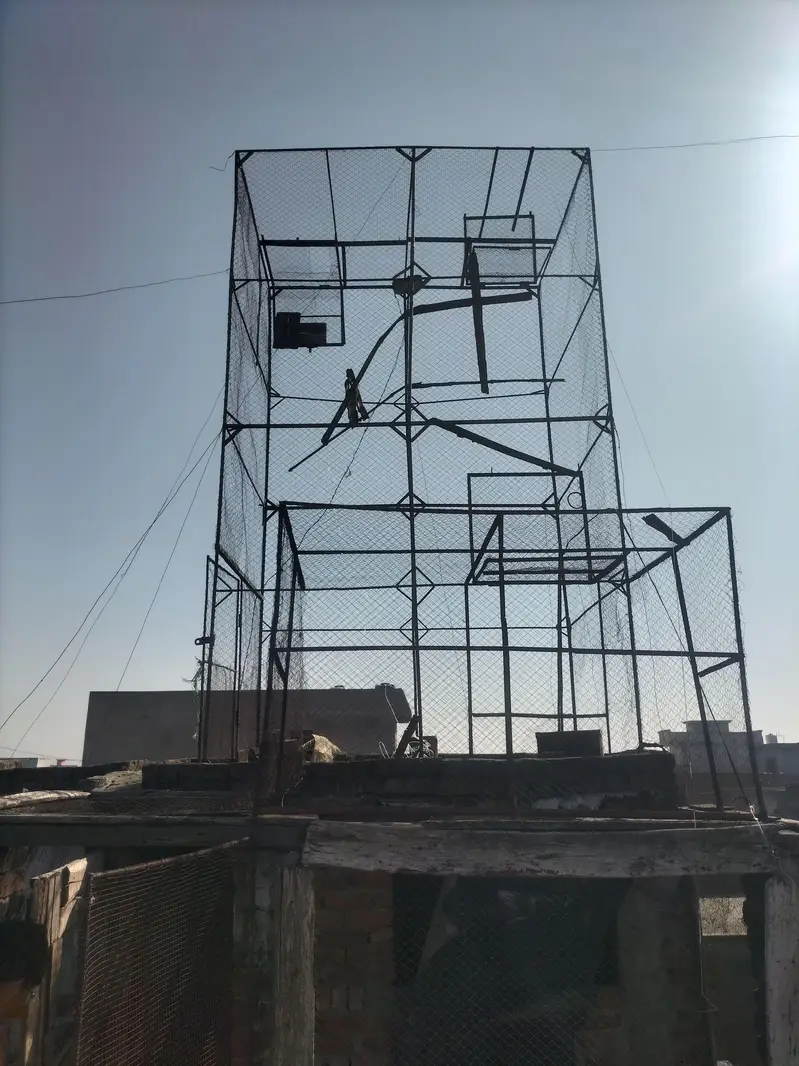 pigeon cage — photo 2
