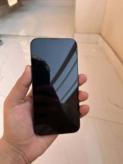 Apple iPhone 13 Nonpta JV