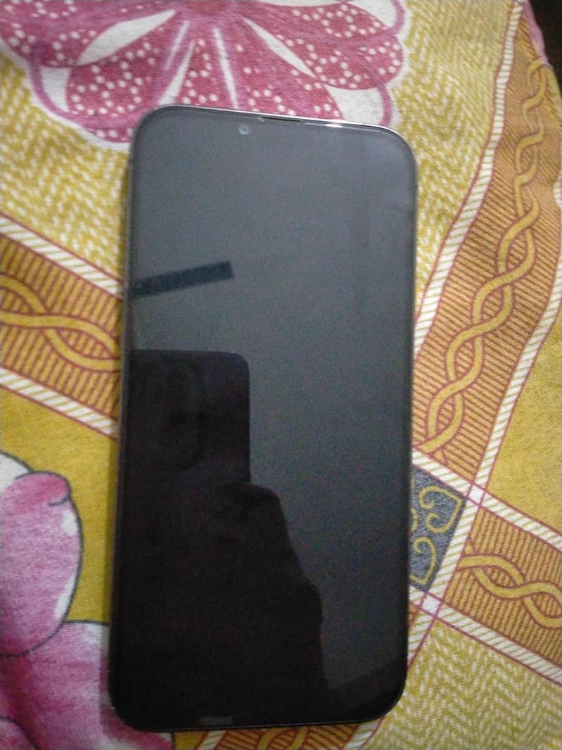 Apple iPhone 13 Pro Max 1