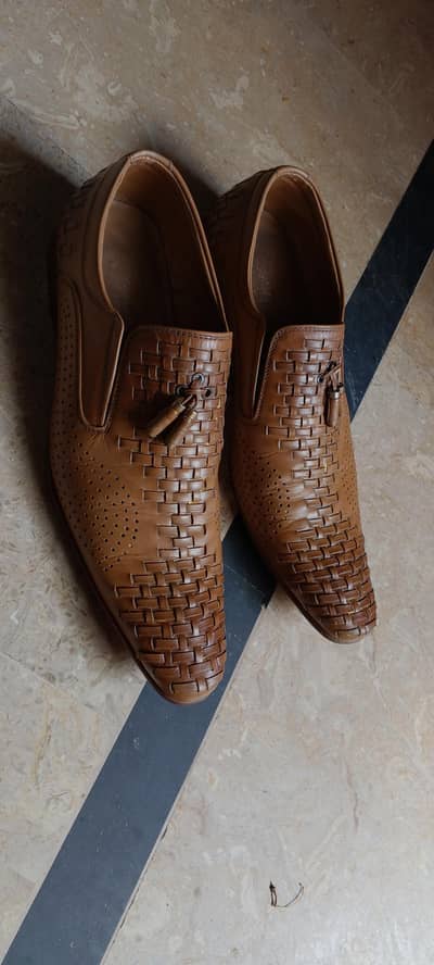 English brand crocodile
