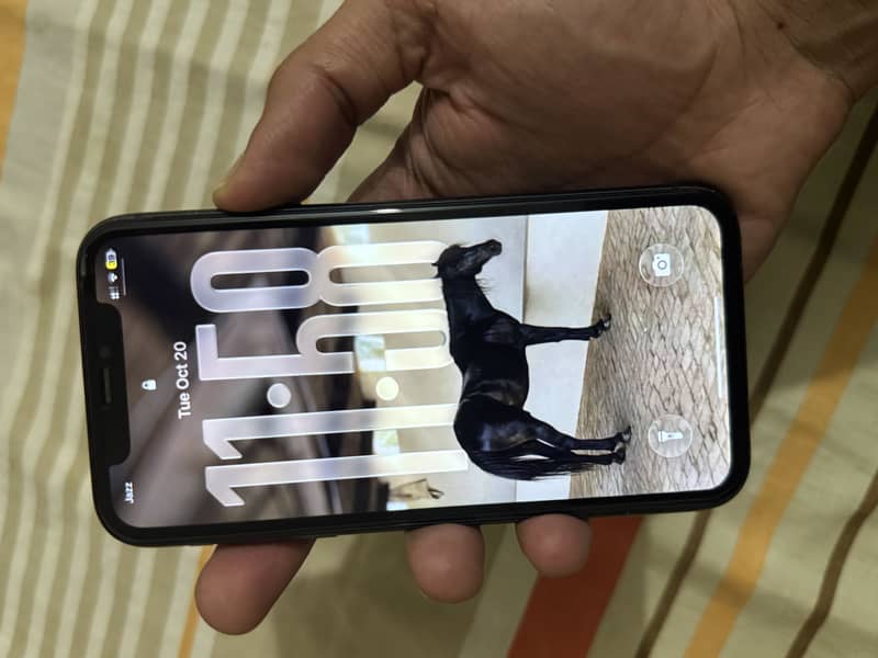 Apple iPhone 11 1
