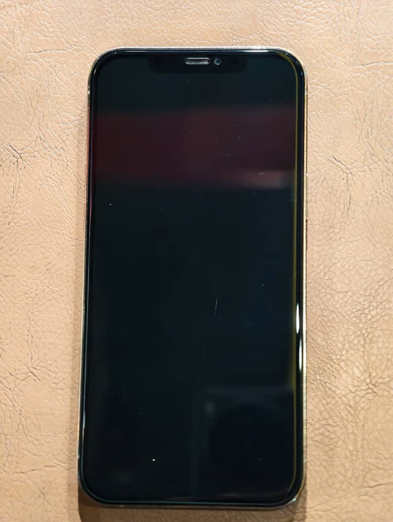 Apple iPhone 12 Pro Max 1