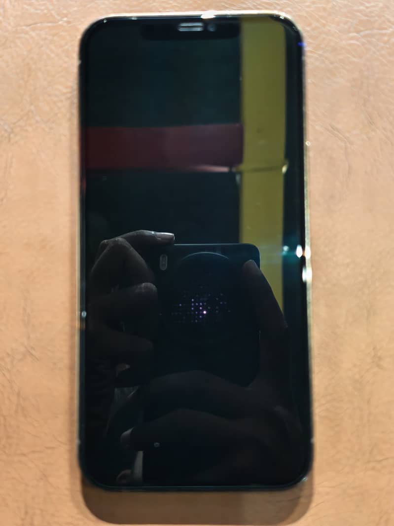 Apple iPhone 12 Pro Max 5