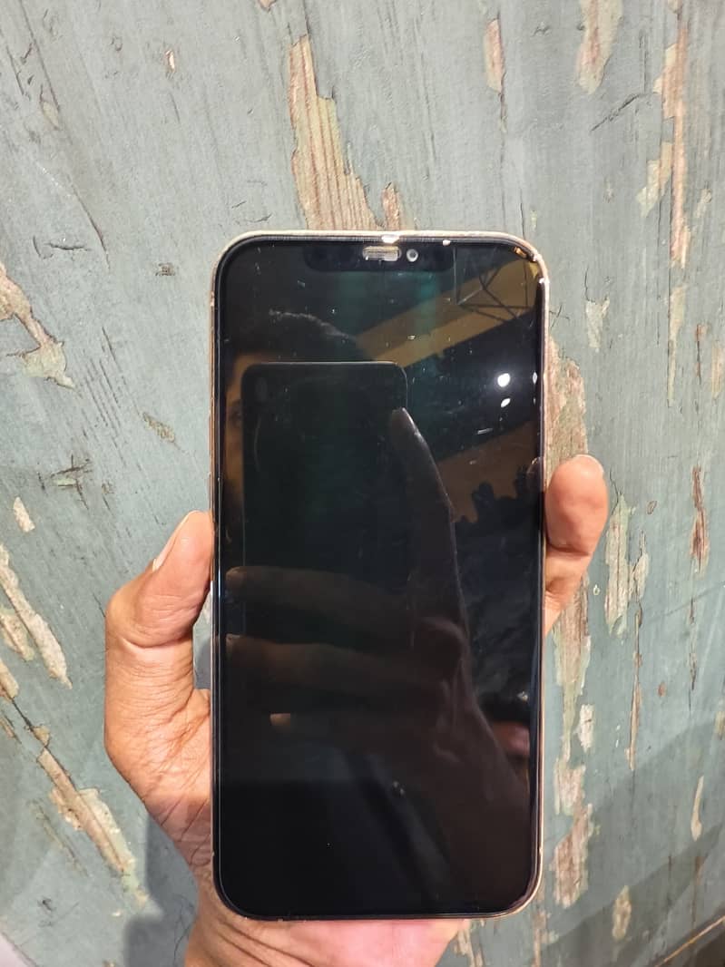 Apple iPhone 12 Pro Max 8