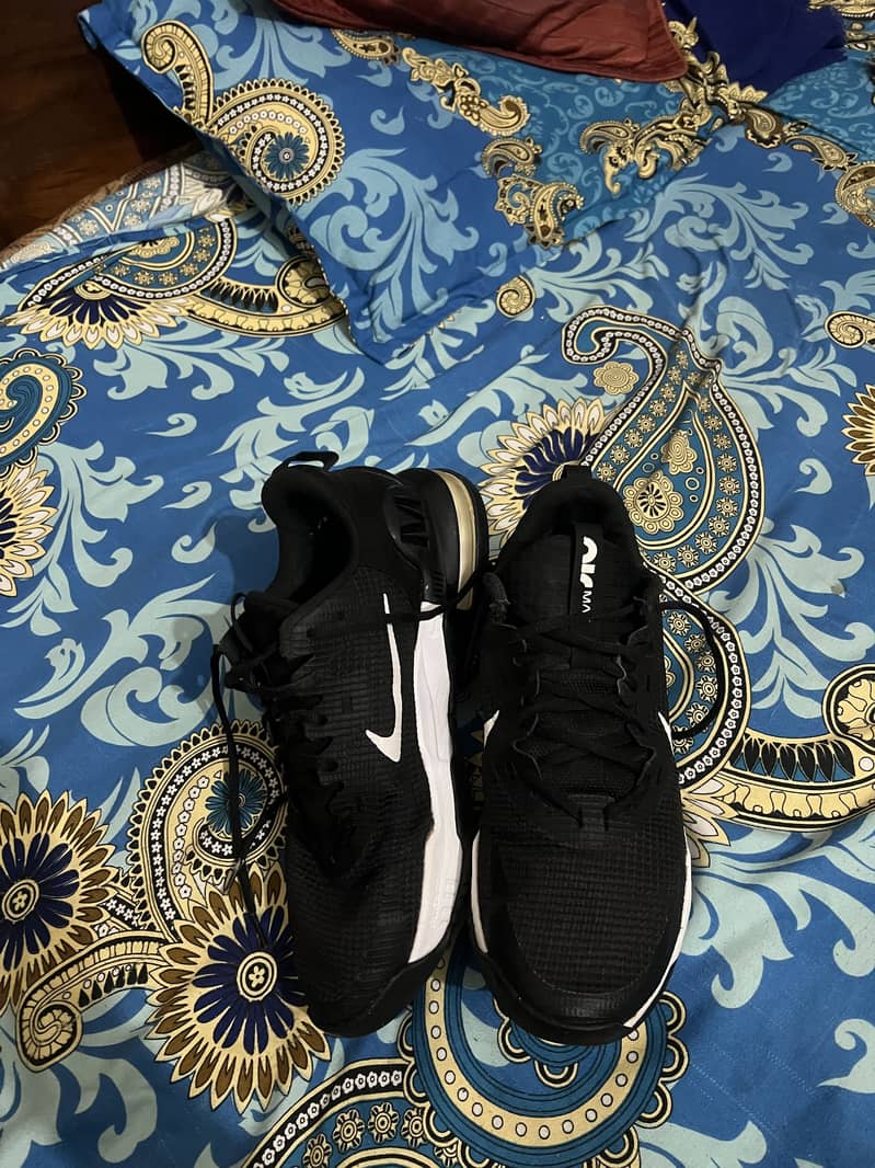 Nike air Alpha max 0