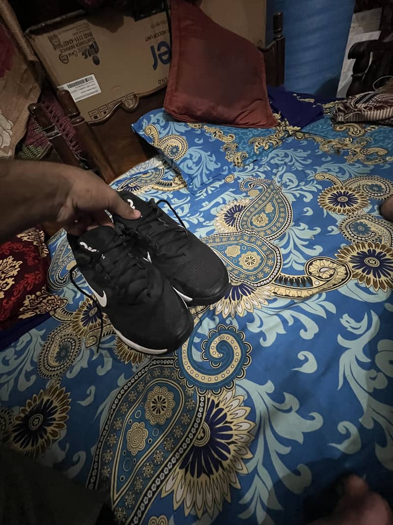 Nike air Alpha max 1
