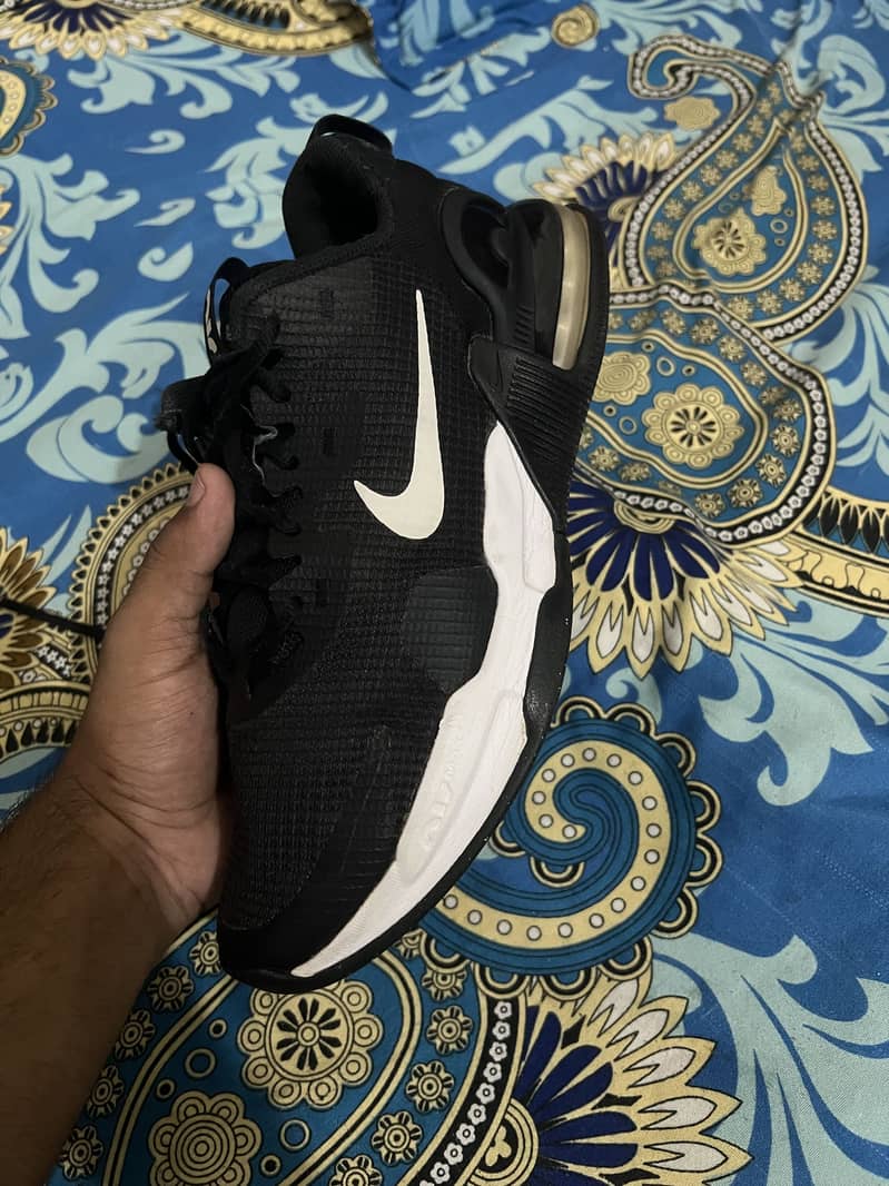 Nike air Alpha max 4