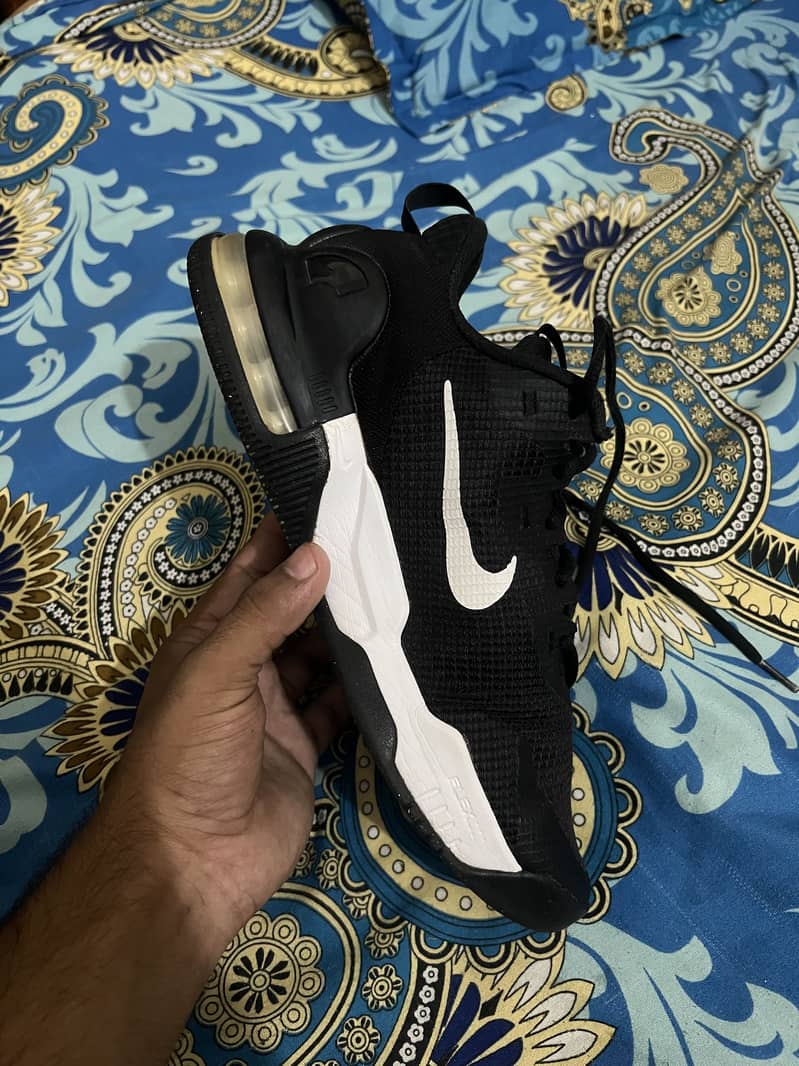 Nike air Alpha max 5