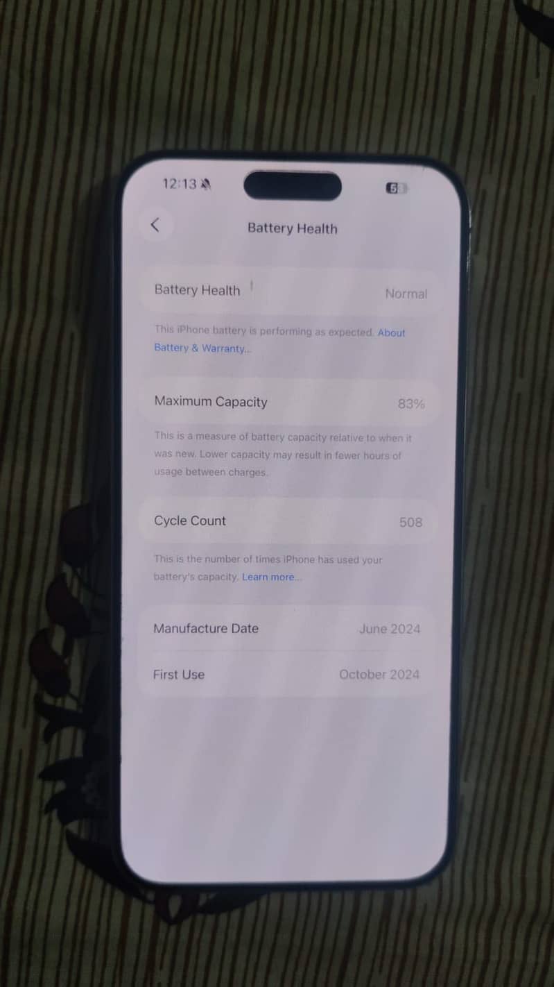Apple iPhone 15 Pro Max 3