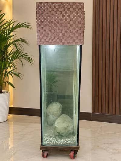 fish aquarium