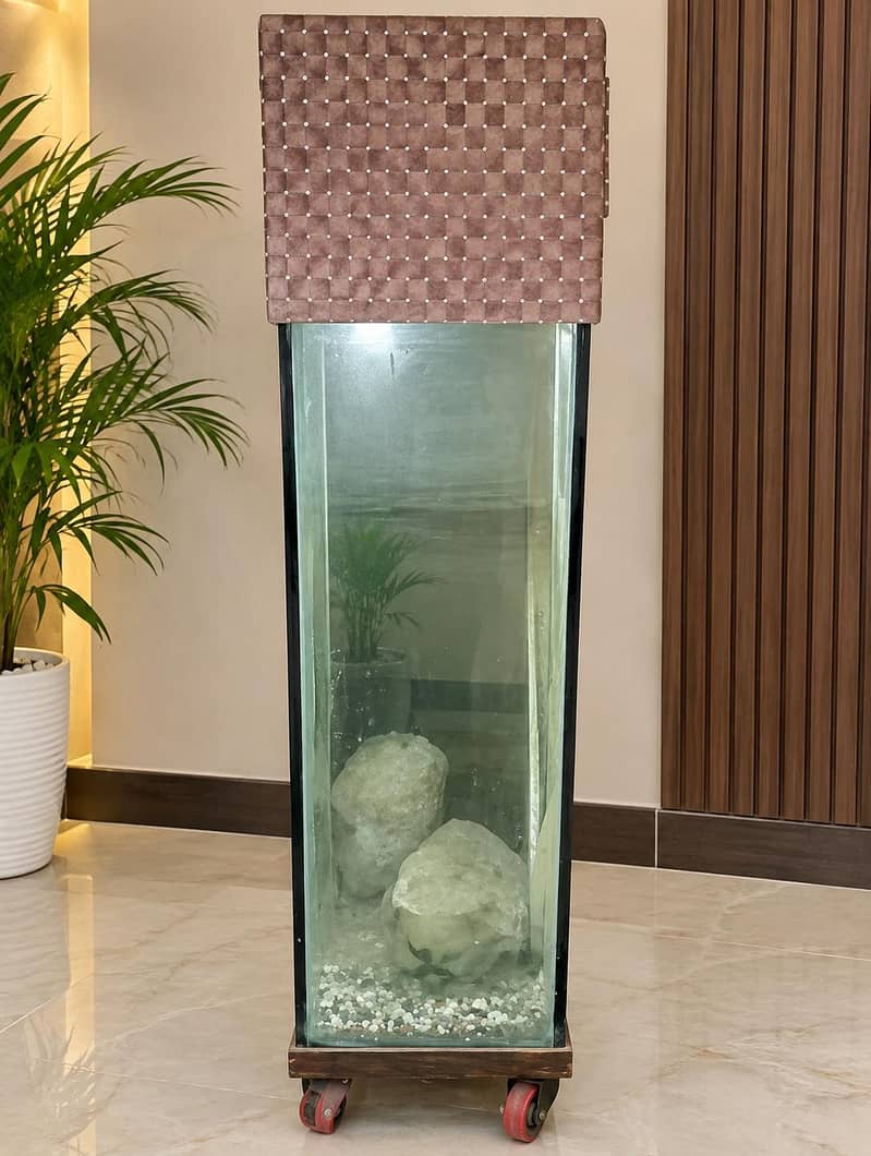fish aquarium 0