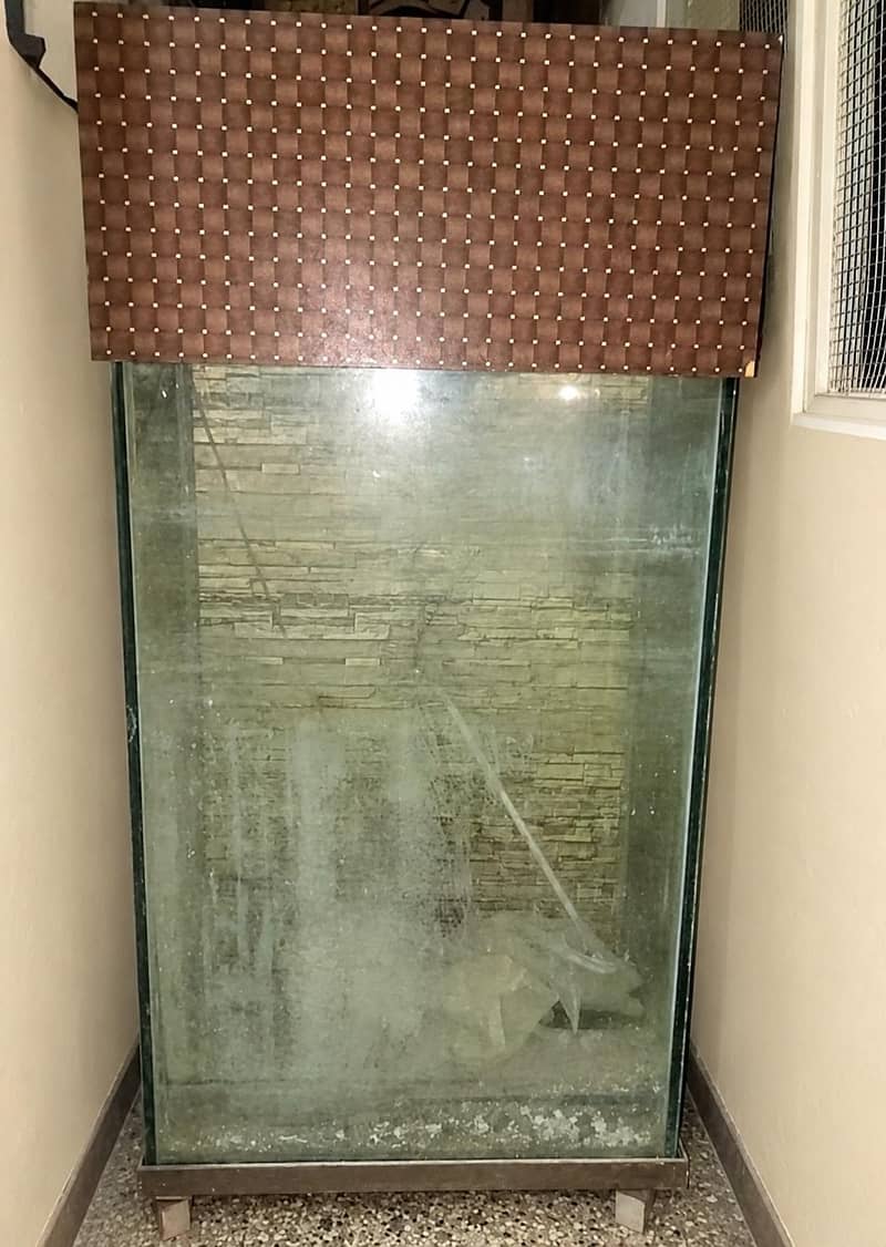fish aquarium 1