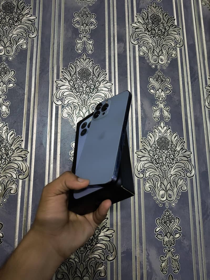 Apple iPhone 13 Pro Max 1