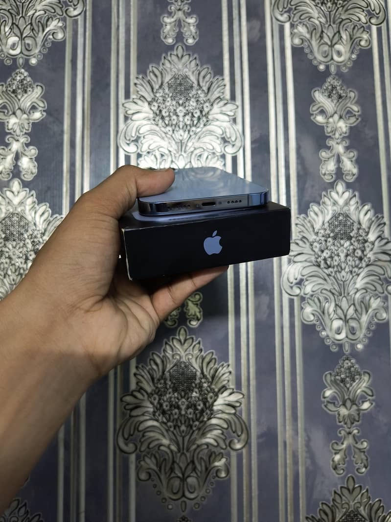 Apple iPhone 13 Pro Max 3