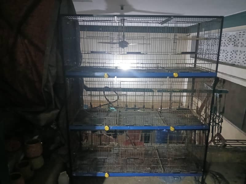 Lahore cage 0