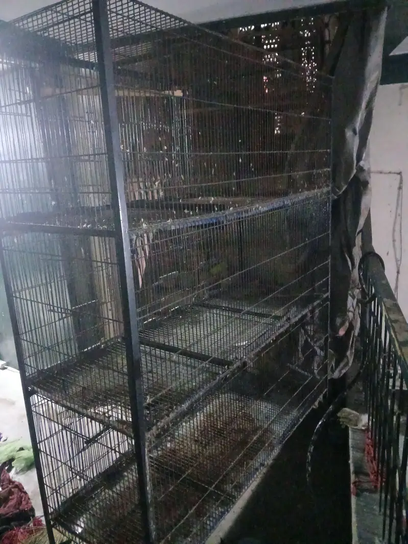 parrot cage metal — photo 2