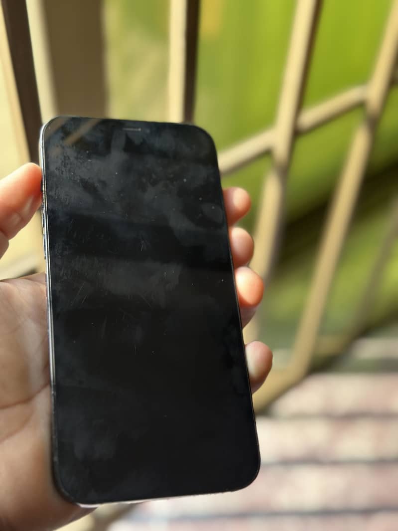 Apple iPhone 12 Pro Max 2